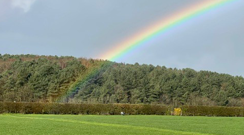 Ted's Farm and Camping in Shropshire