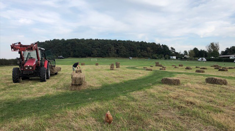 Camping Break at Ted's Farm in Sheriffhales, Telford Shropshire